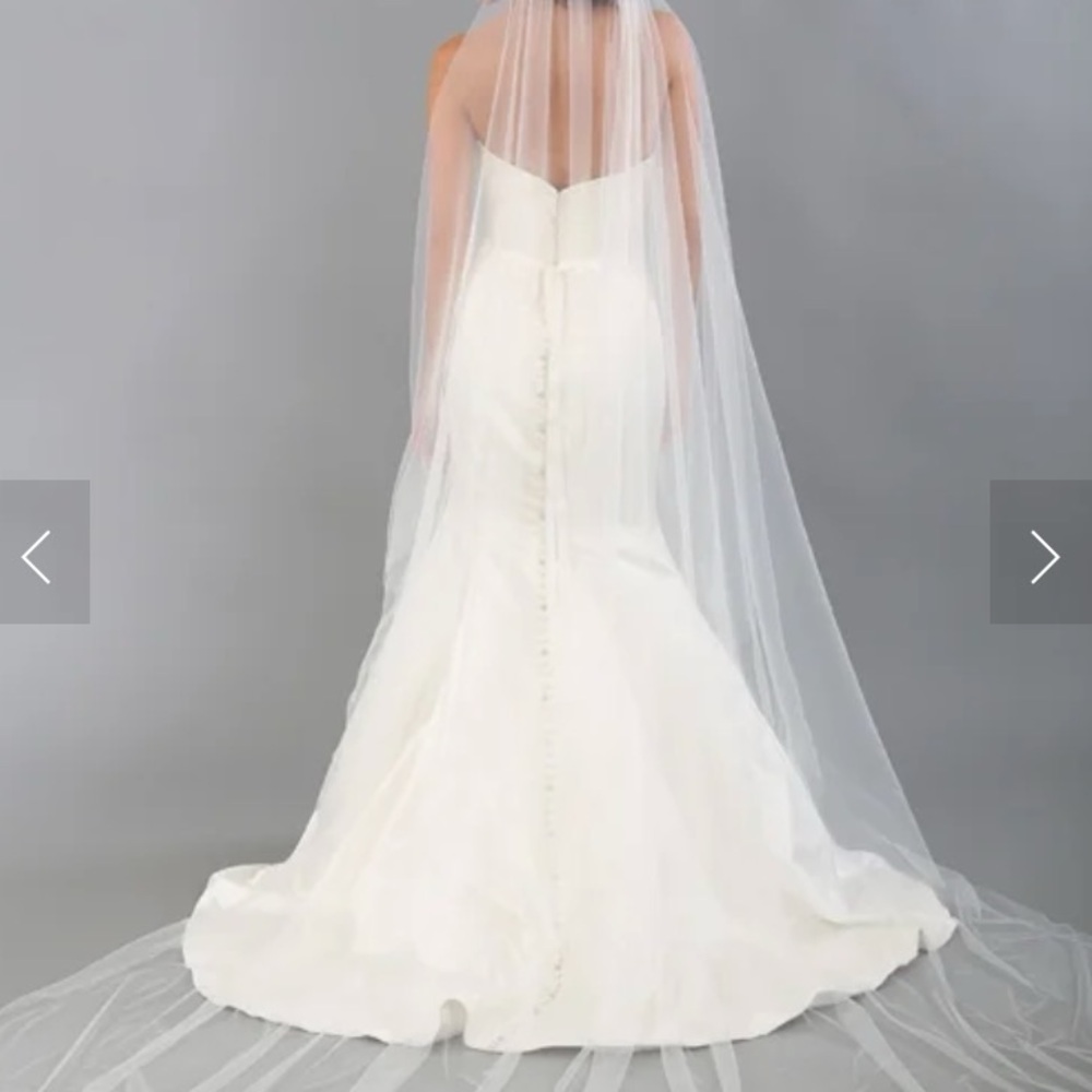 Elegant White Cathedral Veil